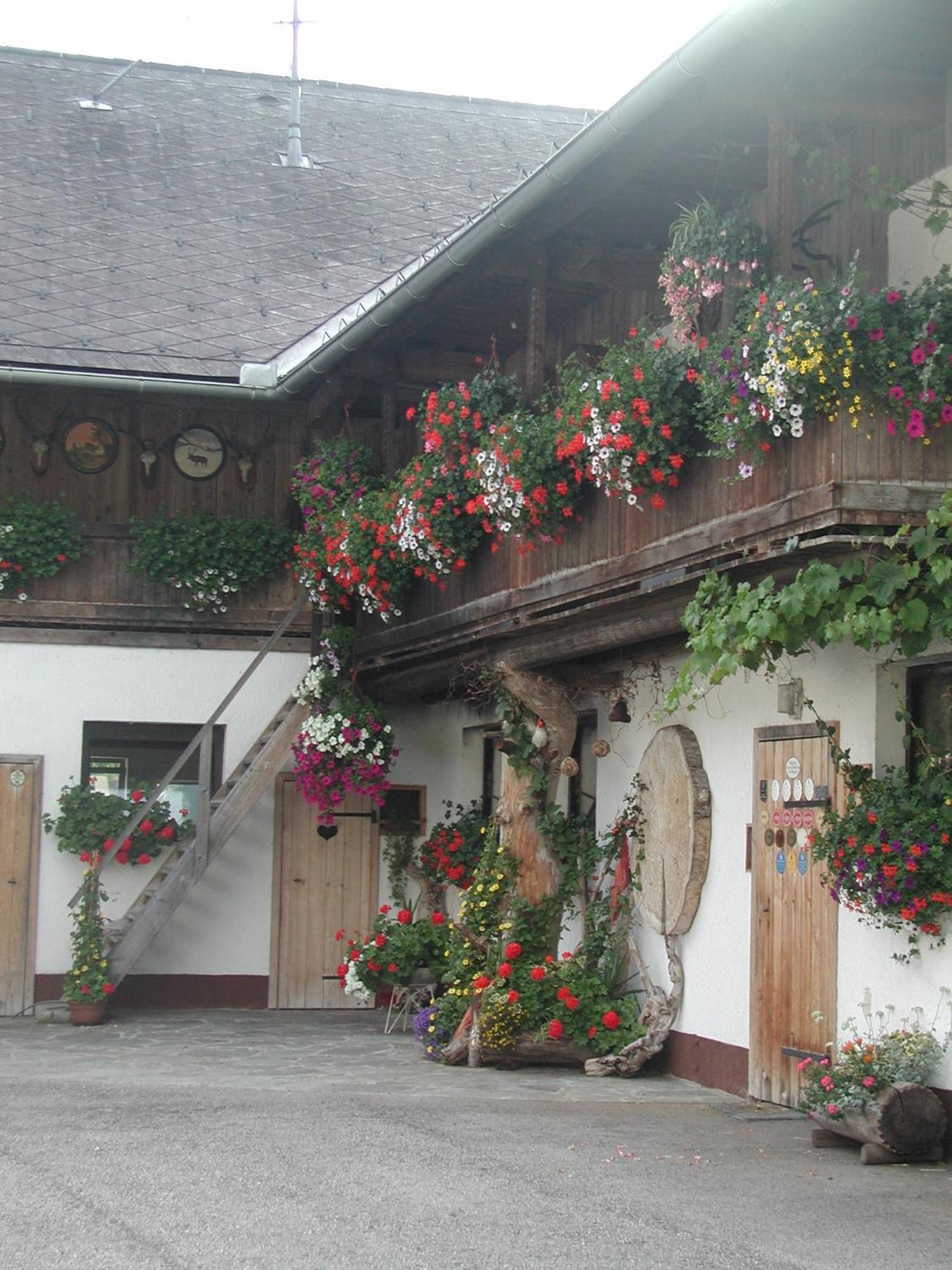 Ferienhof Unterführholzergut Klaus an der Pyhrnbahn Exterior foto